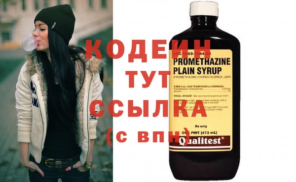 гашик Алзамай