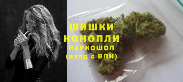 бошки Алексин