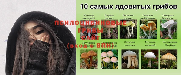 соль ск Абаза