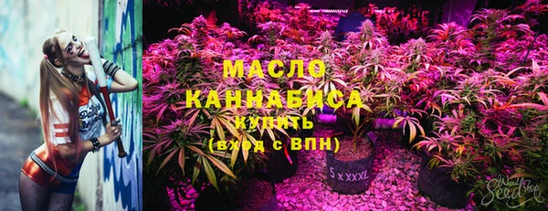 гашик Алзамай